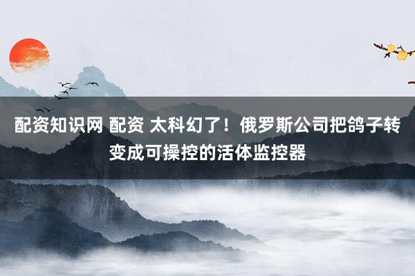 配资知识网 配资 太科幻了！俄罗斯公司把鸽子转变成可操控的活体监控器