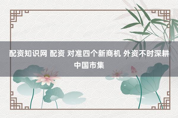 配资知识网 配资 对准四个新商机 外资不时深耕中国市集